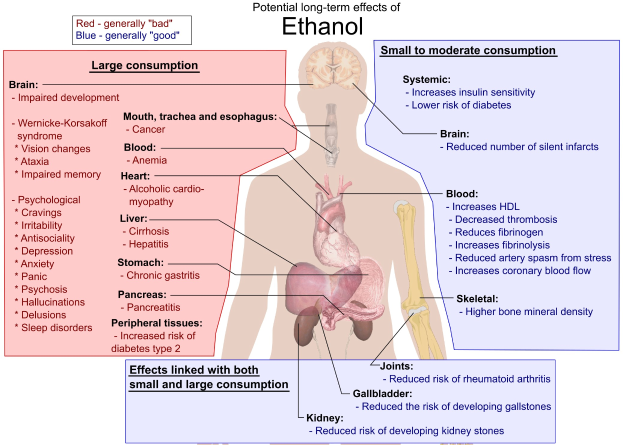 Diagramm des menschlichen Körpers mit der Bezeichnung "Ethanol", das mögliche langfristige Auswirkungen auf den Körper zeigt.
