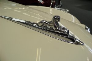 Autologos auf der Front eines Fahrzeugs.