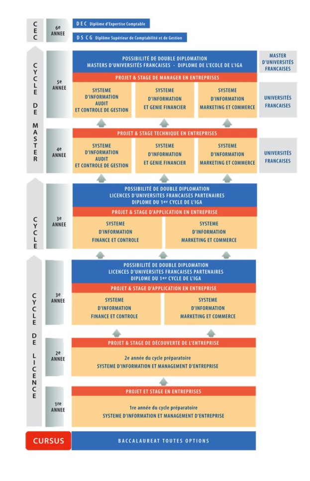 Diagramm, das die organisatorische Struktur eines Unternehmens mit interconnected boxes darstellt, die verschiedene Phasen des Geschäftswachstums und der Entwicklung repräsentieren, begleitet von beschreibendem Text.