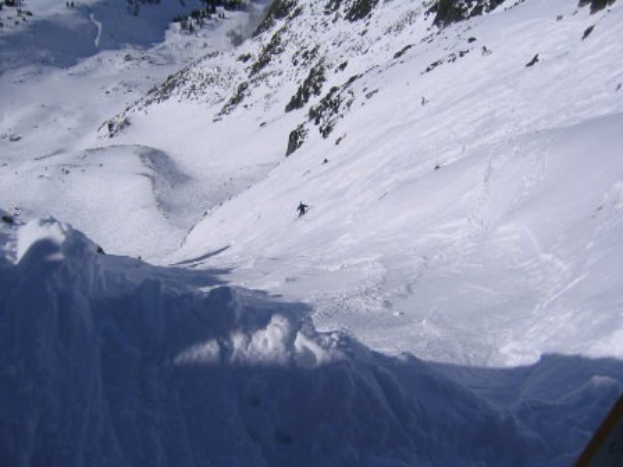 Eine Person, die eine schneebedeckte, von Bäumen umgebene Bergseite hinabskipt und eine Spur im unberührten, unversehrten Schnee hinterlässt.