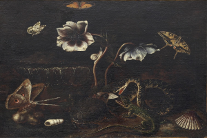 Ein Stillleben von Jan van Eyck mit einer Schlange, einer Blume, einer Schnecke und einem Schmetterling vor einem schwarzen Hintergrund.