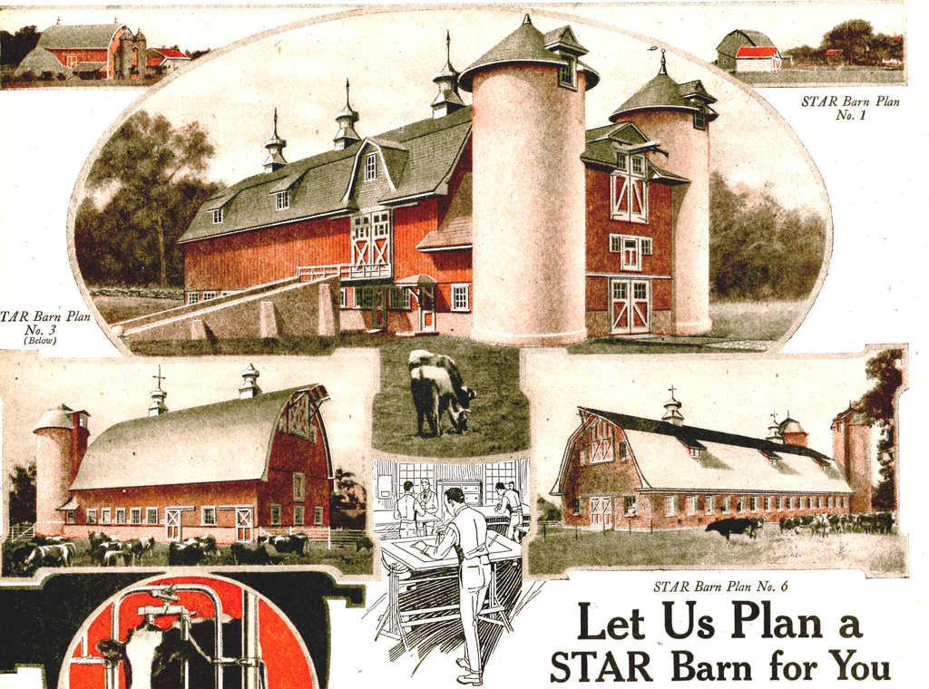 Ein Plakat mit Gebäuden und Kühen im Hintergrund und Text unten.