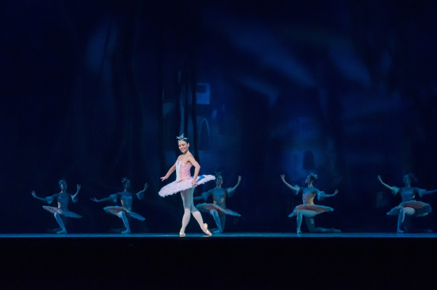 Eine Ballerina in einem rosafarbenen Tutu und Spitzenschuhen tanzt auf einer Bühne mit anderen Tänzern in ähnlichen Kostümen, vor einem dunklen Hintergrund.