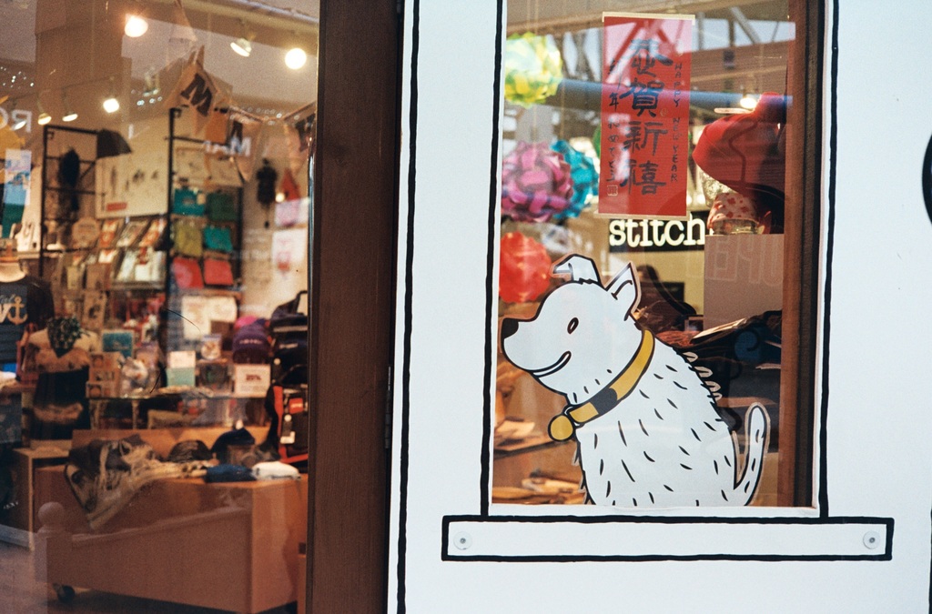 Eine Illustration eines Hundes mit Text auf der rechten Seite und auf der linken Seite ein Raum mit Lampen, Flaggen, Regalen, Sofas, Kleidung, Dekorationen, Menschen, Stühlen und verschiedenen anderen Gegenständen.